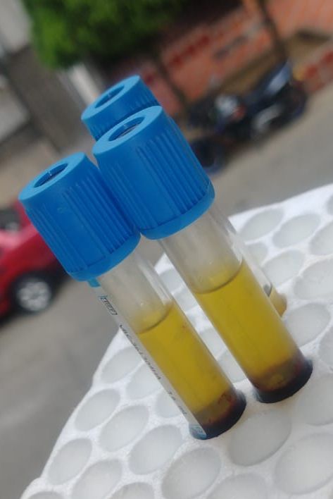 WhatsApp Image 2026-03-19 at 6.56.16 PM